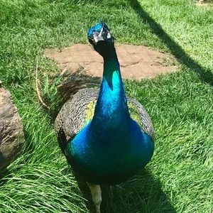 Meet your Posher, A.